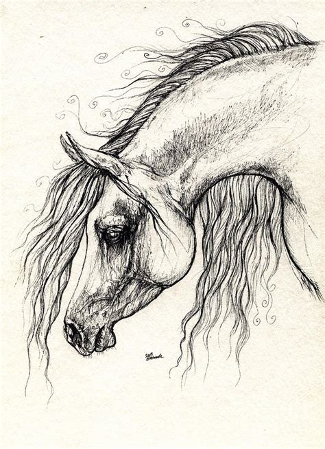 images  drawing horses  pinterest arabian horses