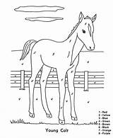 Color Number Coloring Horse Pages Kids Numbers Printable Colt Young Christmas Printables Graders Easy Colour 1st Activity Barnyard Print Sheets sketch template