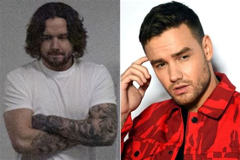 Liam Payne Wows Fans With Hair Transformation After Being Compared To