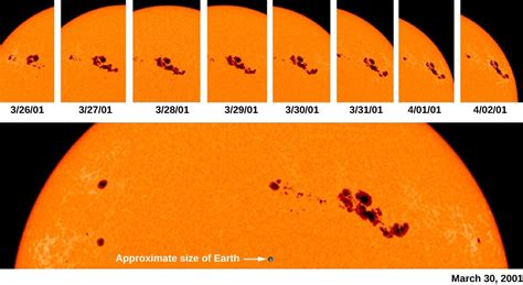 The Solar Cycle Astronomy
