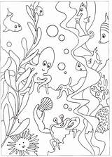 Coloring Pages Seabed Print sketch template
