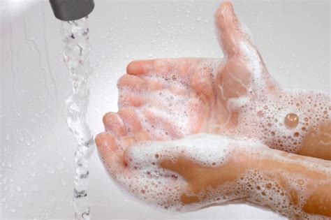 person  soap  wash  hands stock photo  image