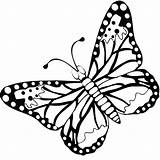 Mariposas Colorear sketch template