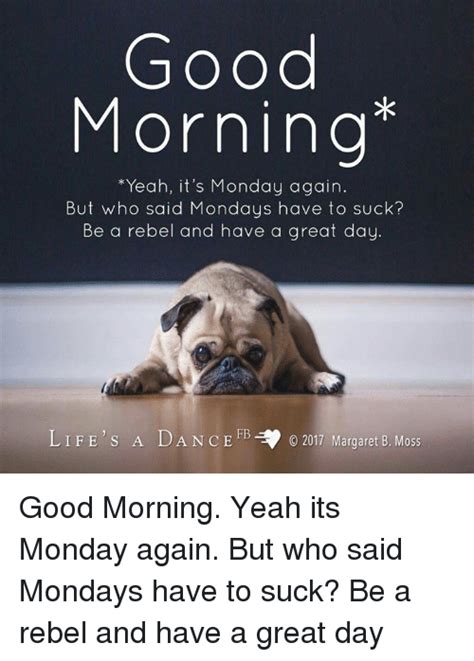 Good Morning Yeah It S Monday Again But Who Said Mondays Have To Suck