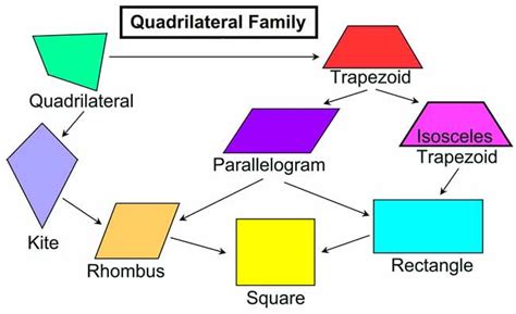kinds  quadrilateral   topper