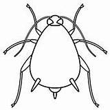 Aphid Contour Puceron Aphids Clipground Pest Websi Yellowimages sketch template