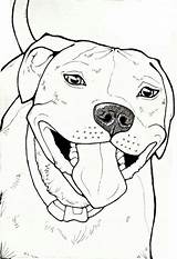 Staffy Pitbull Draw Pit Bulls Stafford Bezoeken Paw Faithful sketch template