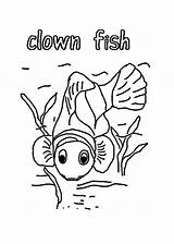 Clown Fish Coloring Pages Kids Old sketch template