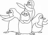 Pinguinos Madagascar Pinguino Penguins Dipacol Fireman Shopkins sketch template