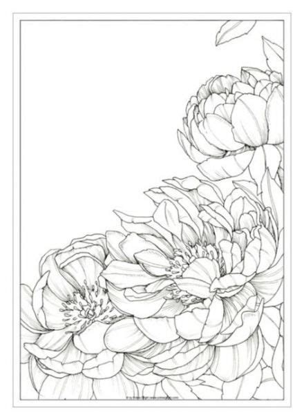 watercolor coloring pages  adults franklin morrisons coloring pages