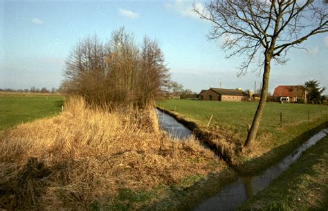 de nieuwe rijn een onvoltooid kanaal mijn gelderland