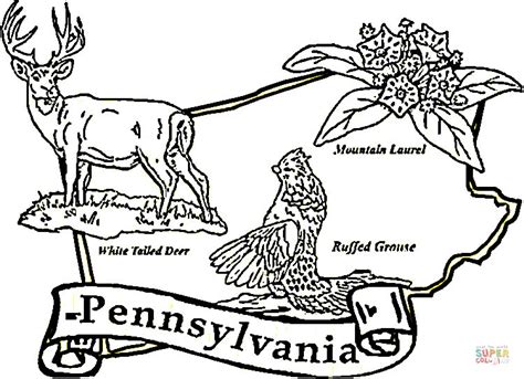 pennsylvania state coloring page  printable coloring pages