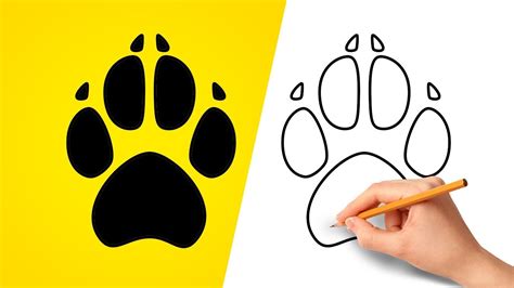 draw  dog paw print step  step youtube