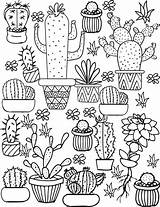 Pages Colouring Kids Coloring Succulents Cacti Days Long sketch template