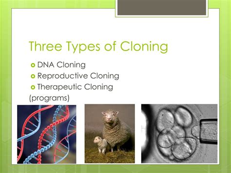 cloning powerpoint    id
