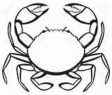Clipart Crabs Drawing Crab Silhouette Claw Shell Outline Line Shaped Drawn Clip Sea Background Transparent Mark Getdrawings Webstockreview Vector Cliparts sketch template