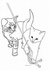 Playing Coloring Cat Pages Kittens Two Kitten Drawing Sheet Cute Cartoon Template Drums Clip Basket Getdrawings sketch template