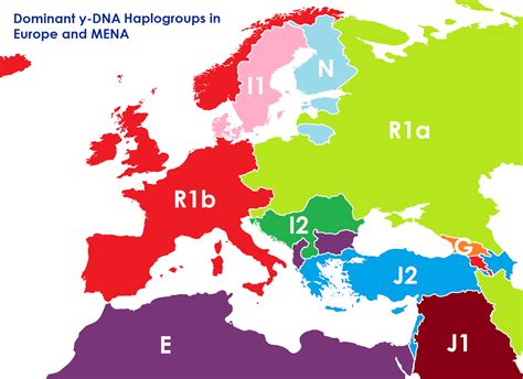Y Dna Haplogroup Of Your Region