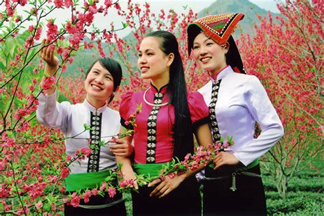 thai ethnic group  vietnam