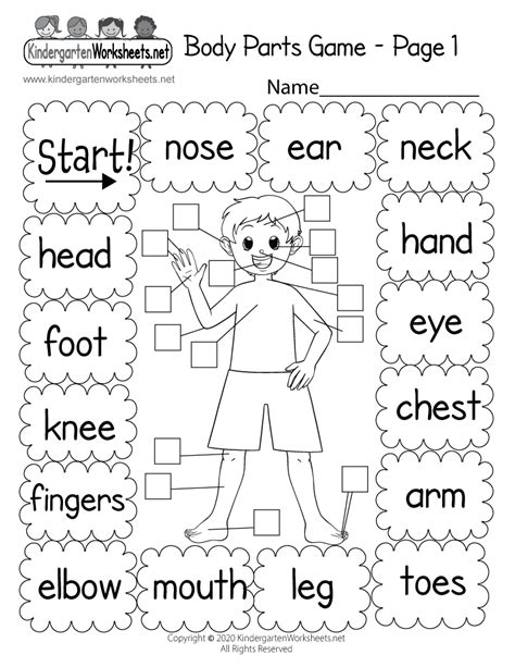 printable parts   body activity pack  body parts