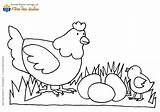 Mewarnai Tk Ayam Paud Hewan Binatang Poule Ses Mewarna Tumbuhan Poussins Poussin Belajar Pola Lumba Ikan Terbaru Sd Menggambar Kartun sketch template