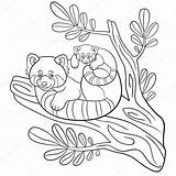 Kleurplaat Schattige Kleurplaten Dieren St3 Pandabeer sketch template