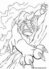 Simba Coloring Pages Baby Printable Getcolorings sketch template