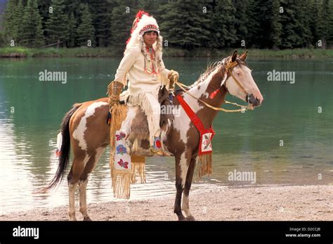 north american indian chief  horse stock photo alamy