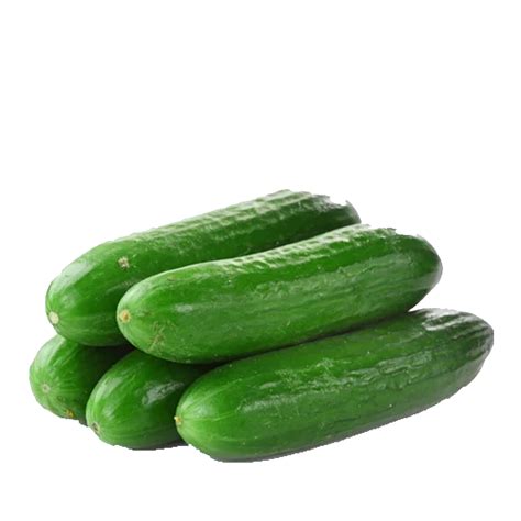 Cucumber Ashley Jojemiagroshop