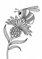 Bumblebee Antistress Zentangle sketch template