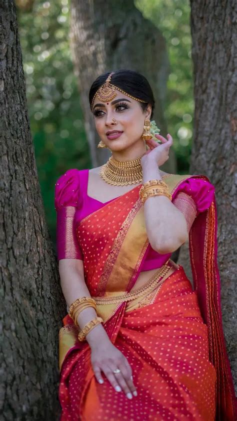 astonishing collection  full  traditional saree images