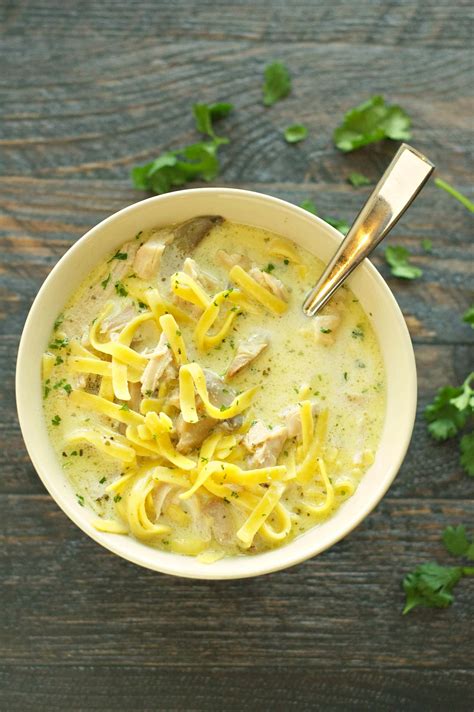 slow cooker creamy chicken noodle soup slow cooker gourmet