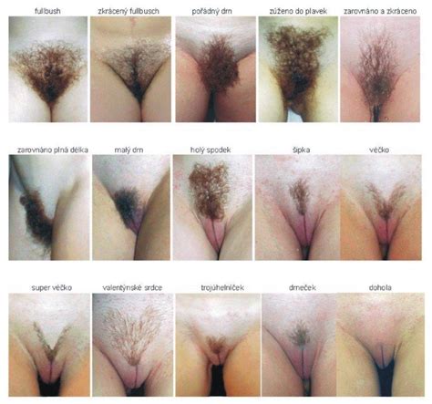 pubic hair styles pubicstyle page 3