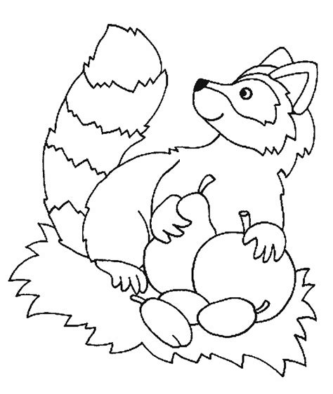 raccoon coloring pages coloring home