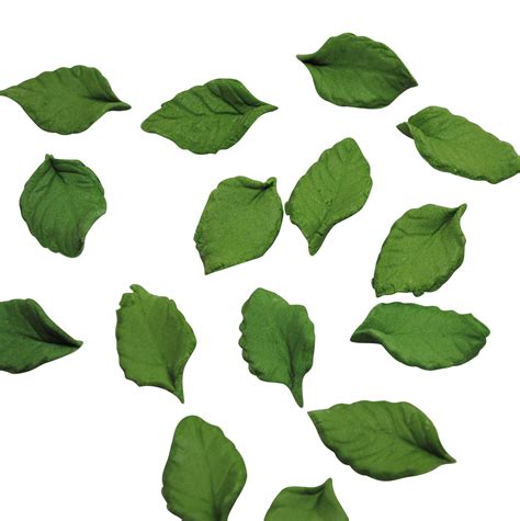 rose leaf vector  getdrawings