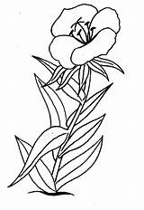 Bloem Flowers Kleurplaat Bloemen Kleurplaten Coloring Pages Van Fun Kids Blumen sketch template