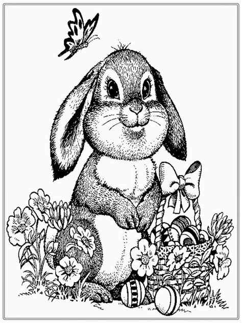 rabbit coloring pages  adults  getcoloringscom  printable