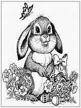 Coloring Rabbit Pages Adults Printable Color Getcolorings Katarzyna Getdrawings sketch template