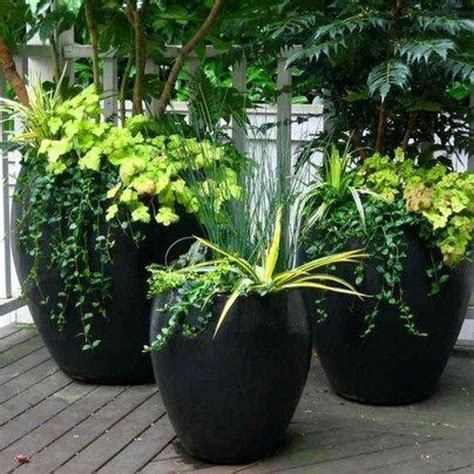lovely combination planting container gardening ideas homyhomee