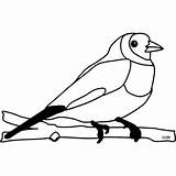 Vogel Ausmalen Malvorlage Tiere Kostenlose Kinderbilder Malvorlagen sketch template