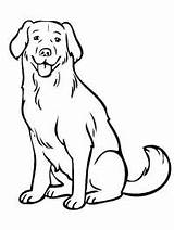 Labrador Hond Honden Kolorowanka Retriever Leukekleurplaten Pies Colorat Puppy Kolorowanki Leuke Knochen Kleur Ausmalbilder Schattige Zo Teckel Hunde Printen Poedel sketch template