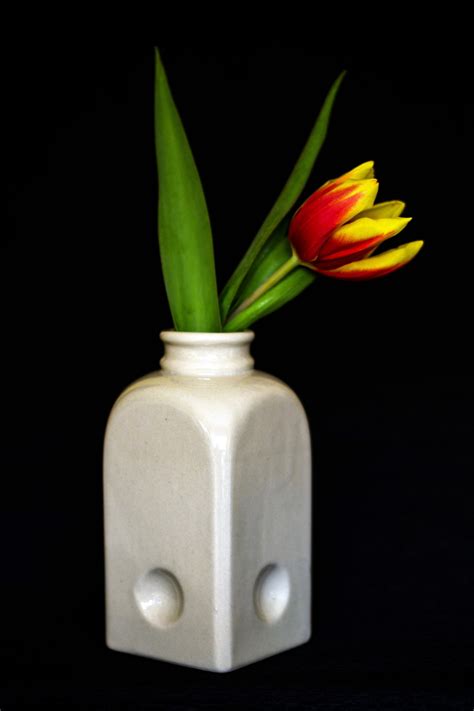 gratis afbeeldingen bloem vaas fles kaars dichtbij verlichting bloemen tulpen