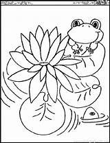 Coloring Pages Lily Frogs Monet Printable Kids Water Color Claude Pad Flowers Lilies Print Drawing Outline Children Clipart Flower Pads sketch template