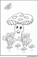 Pilze Zum Ausmalen Malvorlage Pilz sketch template