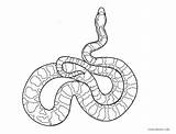Schlange Schlangen sketch template