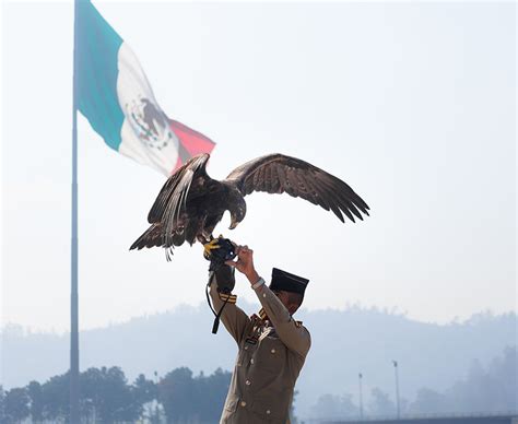 5 Datos Sobre La Bandera De México Que Te Dejarán Con La