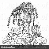 Willow Tree Coloring Pages Clipart Illustration Dero Royalty Getcolorings Rf Getdrawings sketch template