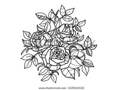 roses coloring adults stock vector royalty