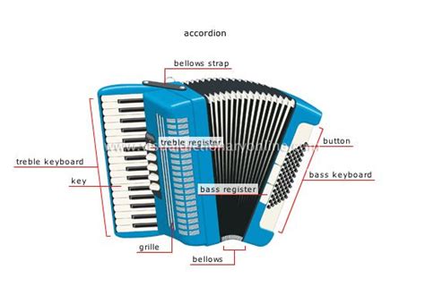 accordion piano accordion musical instruments