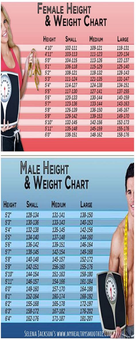 In Recent Years We Have Seen Two Extremes Among Women When Weight Is